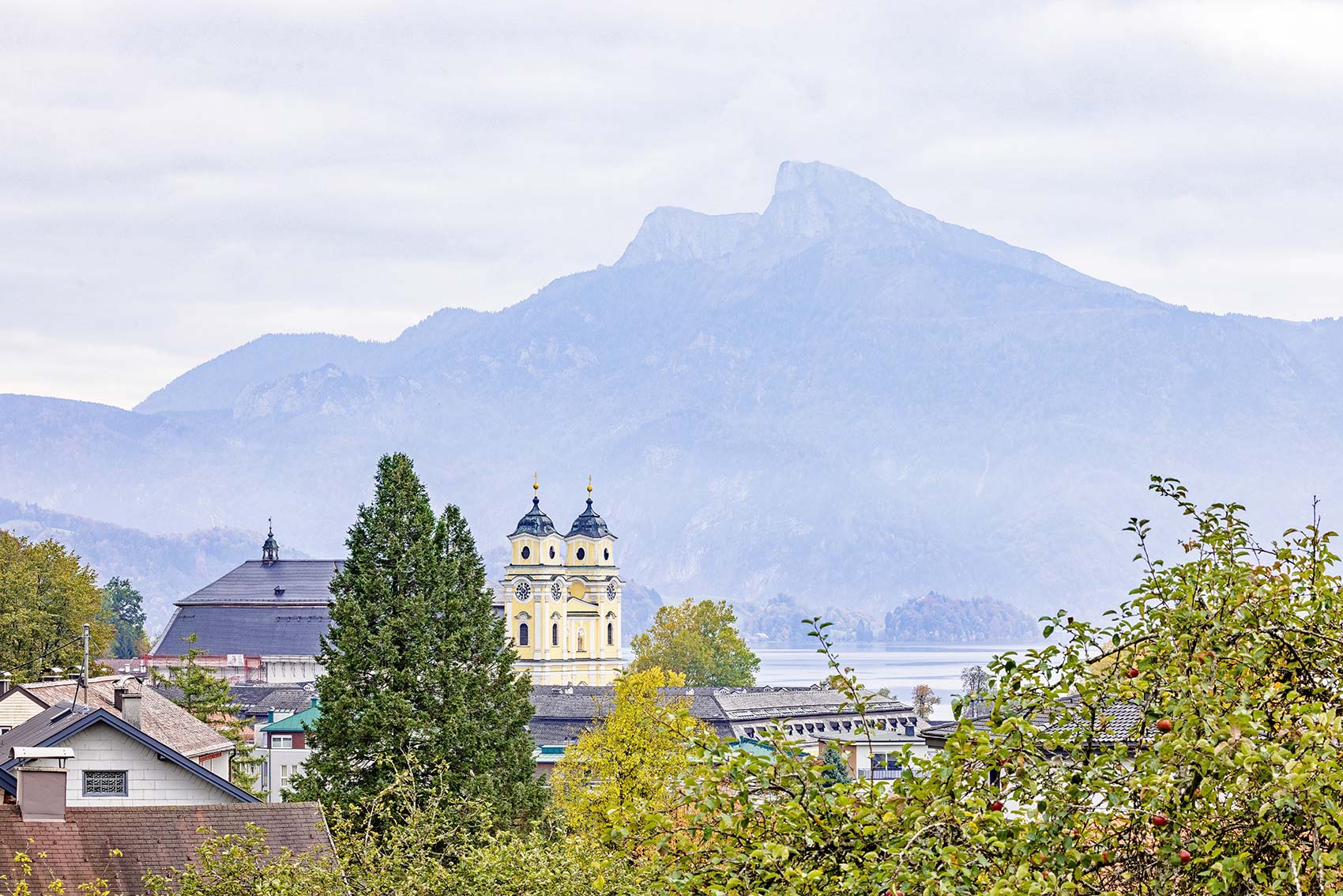 wh-birkengasse-aussicht-schafberg